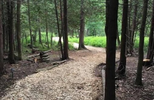 Chatsworth Cabin | Greyridge Glamping Resort (ALL)nn