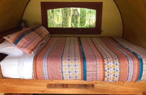 Greytown Resort | Greytown Campground