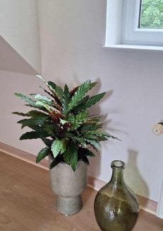 Mandoe Bed & Breakfast | Groennebaek Bed and Breakfast