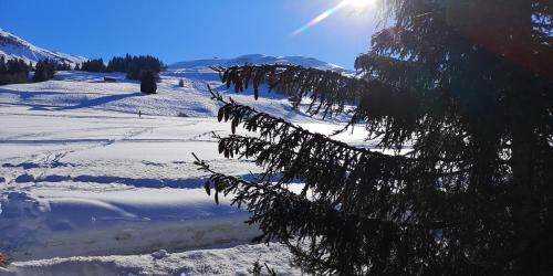 Affeier House | grosses Ferienhaus mit Sauna im Skigeb. Obersaxen