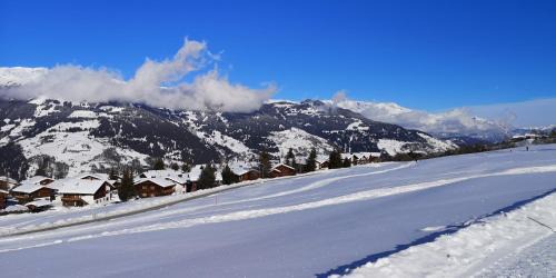 Affeier House | grosses Ferienhaus mit Sauna im Skigeb. Obersaxen