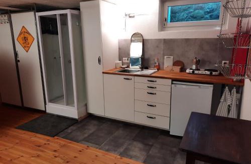 Allenwinden Apartment | grosses Zimmer mit eigener Küche Dusche WC