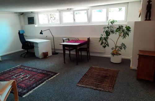 Allenwinden Apartment | grosses Zimmer mit eigener Küche Dusche WC