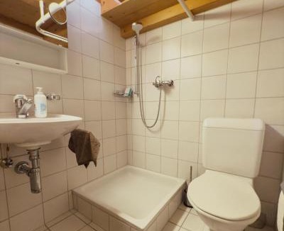 Lenk Apartment | Grosszügige Wohnung Leiterli