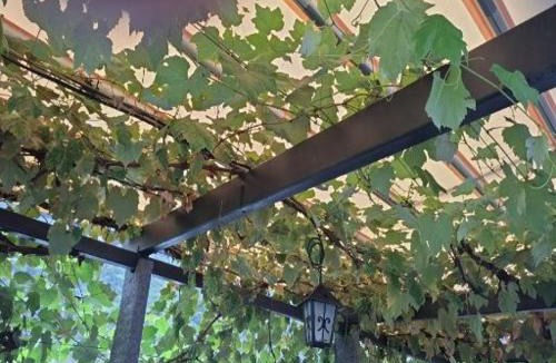 Foroglio Bed & Breakfast | Grotto osteria di Baloi