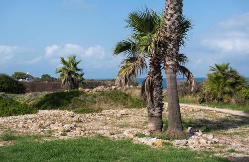 Vinaros Apartment | Ground floor apartment on the seafront with pool