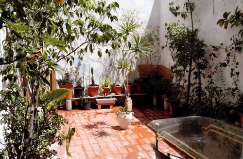 Campoamor Apartment | Ground floor with patio next to the Auditorium (ADDA)