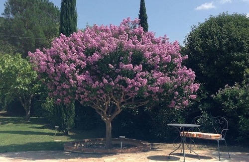 Reynes Villa | Ground floor of villa in beautiful, rural location, Céret 4 km, Med 30 mins