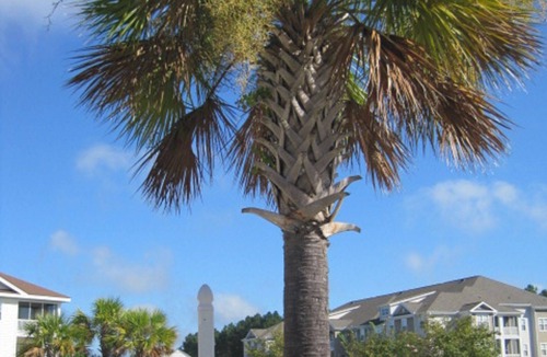 North Myrtle Beach Condo | Ground Floor 2BR Condo in Havens, Barefoot Resort, Well-Stocked, Close to Beach!