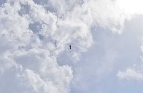 Thorenc Cottage | Group accommodation - party room