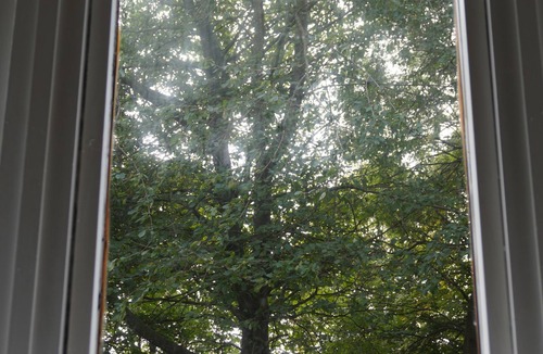 Glasgow Apartment | Group Stay 4-Bedroom