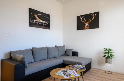 Schaffhausen Apartment | Gruben Apartments 3 Schlafzimmer