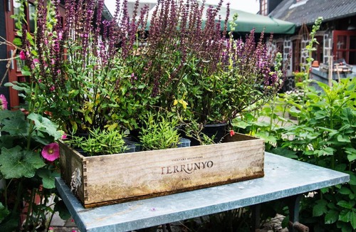 Hinnerup Bed & Breakfast | Grundfør bed and breakfast