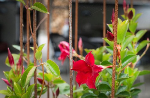 Hinnerup Bed & Breakfast | Grundfør bed and breakfast