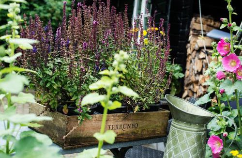 Hinnerup Bed & Breakfast | Grundfør bed and breakfast