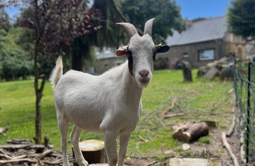 Plouagat Apartment | Guergonet, Cosy 2-bedroom accomodation