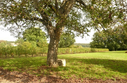 Gardegan-et-Tourtirac House | Guest House 9km from Saint Emilion