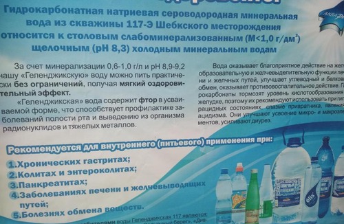 Gelendzhik House | Guest House BERDIKOF