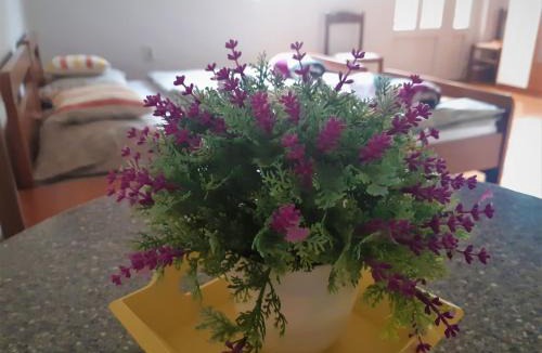 Licko Lesce House | Guest House Domig