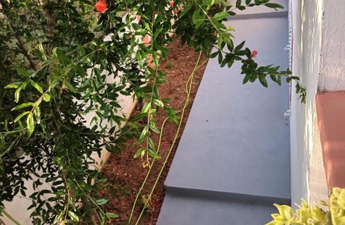 Bibinje House | Guest house Ella