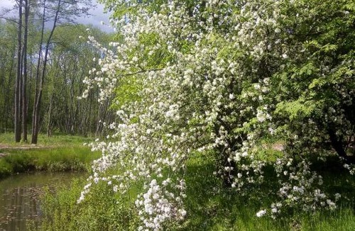 Bugrovo Hotel | Guest House in Bugrovo