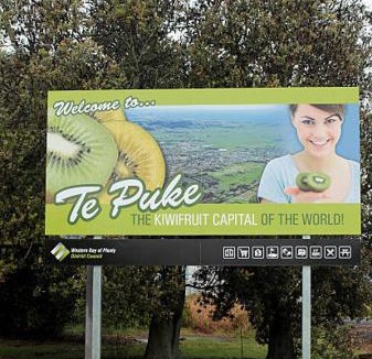 Te Puke House | Guest House in Tepuke