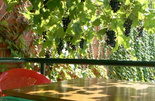 Gelendzhik House | Guest house Irina