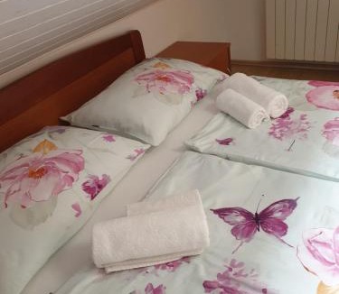 Njivice Apartment | Guest house Lavanda 4