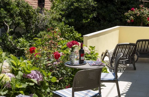 Molunat Apartment | Guest House Rooms Rose - Studio with Terrace