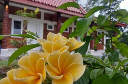 Pakem House | Guest House T