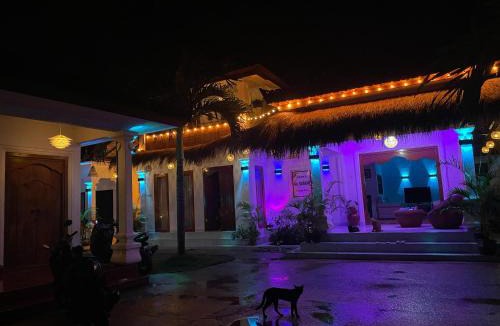 Lovina House | Guest House T4man Sari