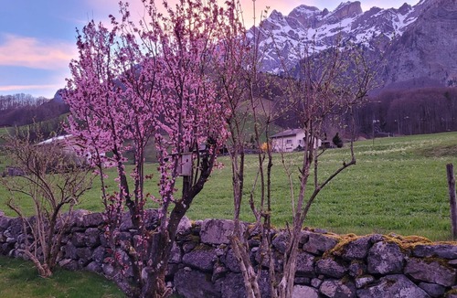 Schwanden House | Guest room "Vreneli" with terrace