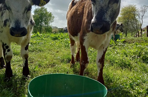 Karamu House | Guest studio overlooking farmland