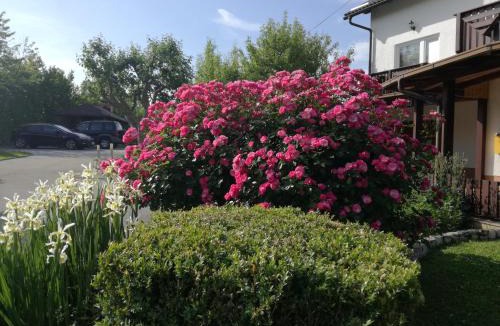 Rakovica House | Guesthouse Šebalj