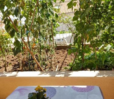 Babin Kuk House | Guesthouse Anna