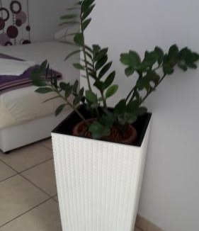 Skradin House | Guesthouse Ivan