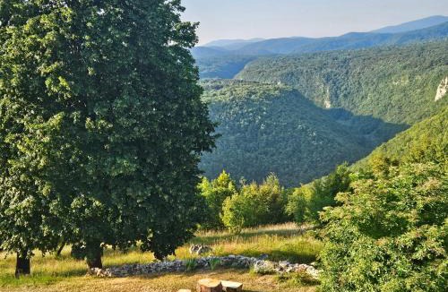 Poljanak House | Guesthouse Loncar