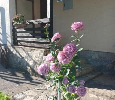 Poljanak House | Guesthouse Loncar