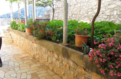 Babin Kuk Apartment | Guesthouse Niko