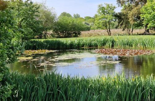 Tjaereborg Bed & Breakfast | Guesthouse Tradsborgvej