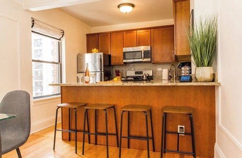 Streeterville Apartment | Guild #2 | Gold Coast Mag Mile Best Location