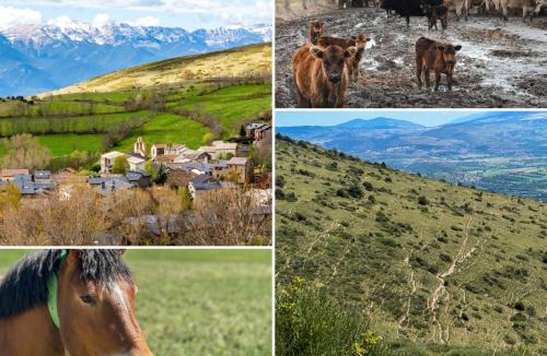 Guils de Cerdanya Ski Chalet | Guils Cal Peiró