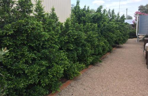 Gulgong Apartment | Gulgong Telegraph Station