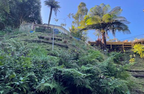 Hamilton North House | Gully Retreat