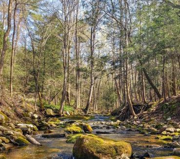 Cornwall Bridge House | Gunn Brook Mountain House
