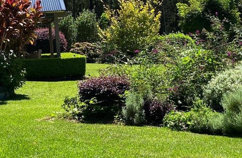 Hallidays Point Bed & Breakfast | Guwala Cottage