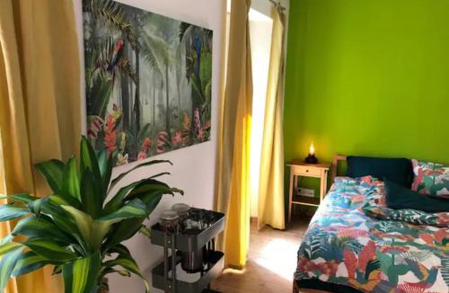 Lucerne House | Gwärbi verde