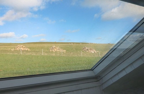 Trenance Cottage | Gwillen