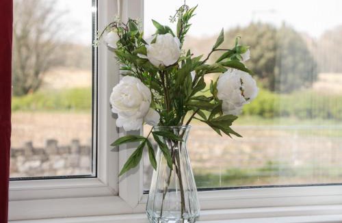 Dyserth House | Gwynant