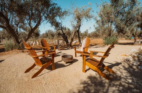 Valle de Guadalupe Resort | Hábimo - Valle de Guadalupe